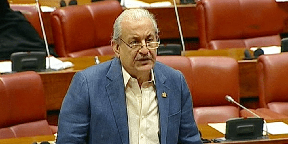 Senator Raza Rabbani Demands Accountability from Discos for Excessive Charges and Exploitation